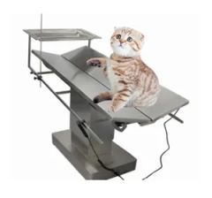 Pet ICU Electric Operating Table V Shaped Fast Position Switching 755 1055mm Lifting Double Tilt Robot Welding Anti Pollution Desi - Qufu Lekang Medical Technology Group Co., Ltd.