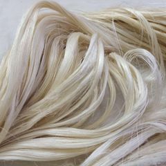 Clean Processed Sisal Fiber For Eco Friendly Packaging Cushioning Material And Sustainable Fiber Applications - Image 5