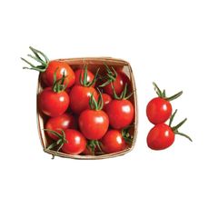 Oblate shape for fresh tomato verities in south africa Color Red Type Tomato Shape Round Content n/a Style Fresh Address - Image 2