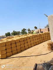 Wheat Straw Bale A+ Premium Crystal Quality | Pakistan Export | Livestock Feed Bulk Supplier - Image 5