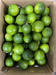 Seedless Lime - Image 1