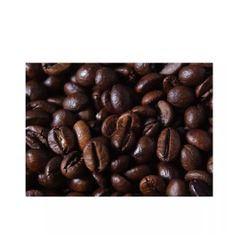 Hot Selling FENICIA Importadora Arabica Green Coffee Beans Roasted Bulk Packaging 100% Natural Quality Brazil Grade 2 Ye - Image 5