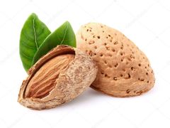 Wholesale Price Original Flavor Pure Natural Roasted Almonds Kernel Dried Fruit Product Dried Nuts fresh nuts - Image 6