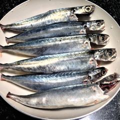 Dried fish / Dried steamed round scad - Image 2