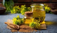 canola oil - Image 2