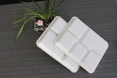 Food Grade Popular 12.5'' 5 Compartment Sugarcane Tray Disposable Bagasse Tableware - Image 5