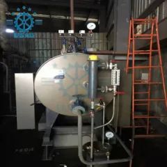 Natural Gas Automatic Constant Temperature Steam Boiler Brand Rlks Origin Chian Model NO. RLKS-B3 Trademark rui lex HS Code 8402190000 - Image 6