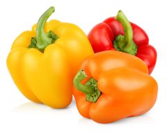Bell Pepper (Red and Yellow) Type Red and Yellow Cultivation Type Green House - Image 1