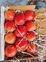 ZIVA FRESH PREMIUM POMOGRANATE - Image 1