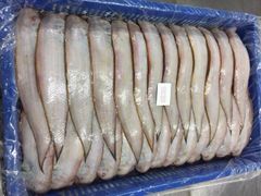 INDIAN FISH FROZEN SOLE FISH INDIAN SEAFOOD EXPORT - Image 3