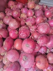 Fresh Pakistani Onion – product photo 1, product detail gallery