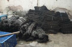 Arenga Fiber - Image 2