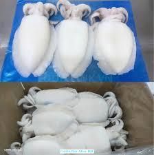 Frozen Whole Clean Baby Cuttlefish, Frozen Cuttlefish Fillet Roll, and Frozen Grilled Cuttlefish Fillet, ensuring reliable B2B seafood solutions - Image 4