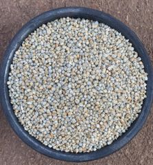 Millet - Image 2