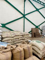 COLOMBIA HUILA SUPREMO ARABICA GREEN COFFEE BEANS SCREEN SIZE 17/18 FULL WASHED G1 – product photo 2, product detail gallery