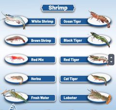 Shrimp, seafoods – product photo 1, product detail gallery