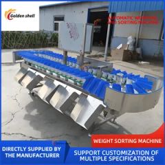 Stainless Steel Fruit Roller Sorting Machine - Image 2