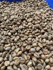 Robusta Green Beans Grade 1 - Image 1