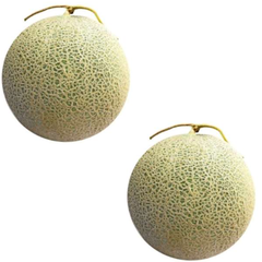 Fresh Melons Quality Round Shape Competitive Supplier Price Low MOQ Supportive Sagami Melon Fresh Fruit Indonesia - Image 3