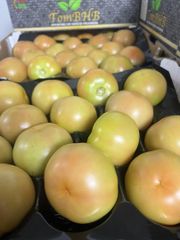 Tomatoes - Image 2