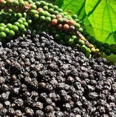 Black Pepper Premium quality – product photo 2, product detail gallery