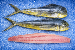 Frozen Mahi Mahi Fillets Supplier & Exporter India | Skinless Boneless Fish Fillets | Bulk Wholesale Seafood - Image 2