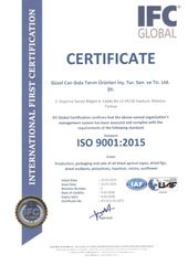 ISO 9001 CERTIFICATE certificate from GUZEL CAN GIDA TARIM URUNLERI INS.TUR.SAN.TIC.VE.LTD.STI