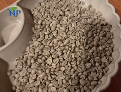 Robusta Coffee scr16-Wet Polished – product photo 1, product detail gallery