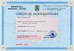 Business license  certificate from SM MIAMOB SRL