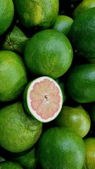 PREMIUM POMELO GREEN SKIN PINK FLESH: GLOBAL CITRUS EXPORTER - Image 3