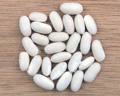 Premium Navy Beans Natural Clean Dried Beans Rich Protein And Fiber For Cooking And Food Processing Buy Fast Delivery Premium Quality Wholesale Naturally Perfect For Home And Bulk Supply – product photo 1, product detail gallery