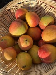 Premium Fresh Mango With Juicy Natural Flavor Sweet Taste And Fresh Quality For Retail Markets And Fruit Sellers - Image 2