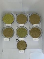 Kratom (Mitragyna Speciosa) - Image 2