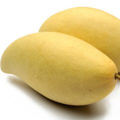 Best price Fresh Mango Fruit Ready To Export Chaunsa / Sindhri Mangoes - Image 1