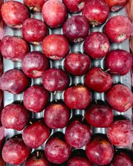 FRESH TOPRED SOUTH AFRICAN APPLES FOR SALE!! CLASS 1 EXPORT QUALITY TOPRED APPLES FOR EXPORT – product photo 4, product detail gallery