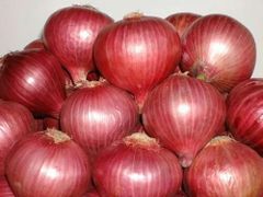 Red Onions Grade 55mm+ Texture Crisp Shelf Life Extended Origin Nashik, India Flavor Strong Sweetness Type Red Onion, Garva Onion - Image 1