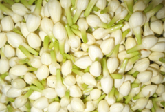 Fresh Jasmine - Image 1