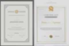 lolasana certificate from Shenzhen Energy Pig Supply Chain Management Co., Ltd.