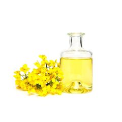 Wholesale canola oil arranged for big quantity orders with efficient dispatch - Image 4