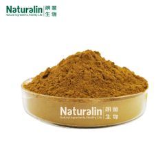 Rosemary Extract - Image 2