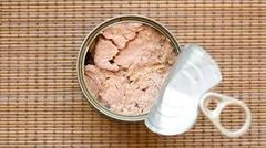 canned tuna - Image 1