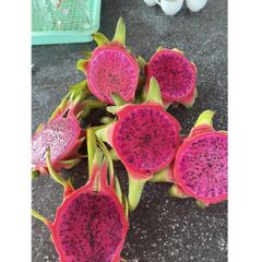 Export Standard Bulk Fresh Dragon Fruit Natural Sweet Taste Red and White Tropical Fruit 380-780g Agriculture Grade – product photo 3, product detail gallery