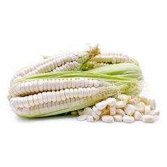 Brazil Maize Export – White & Yellow Corn frozenchickenexports.com – product photo 2, product detail gallery