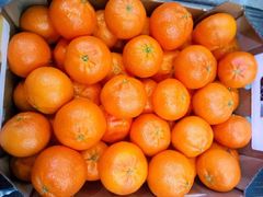 FRESH NADORCOTT MANDARINS FOR SALE!! CLASS 1 EXPORT QUALITY NADORCOTT MANDARINS FOR EXPORT – product photo 5, product detail gallery