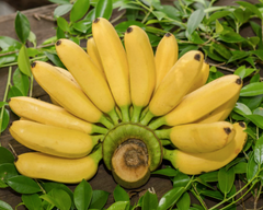 Fresh Banana - Image 4
