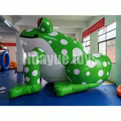 Advertising 2m Floating Inflatable Frog Model Inflatable Cartoon Animal Character Toy - Image 2
