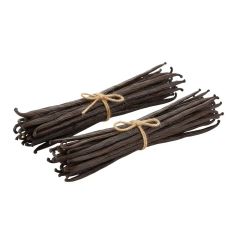 Vanilla Bean - Image 1
