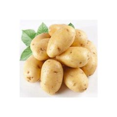 Good vegetable fresh potato export wholesale price – product photo 2, product detail gallery