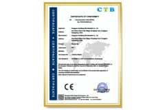 certificate 9 certificate from Guangzhou Richangjing Optoelectronic Co., Ltd.