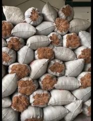 Processed Coconut Fiber - Image 1